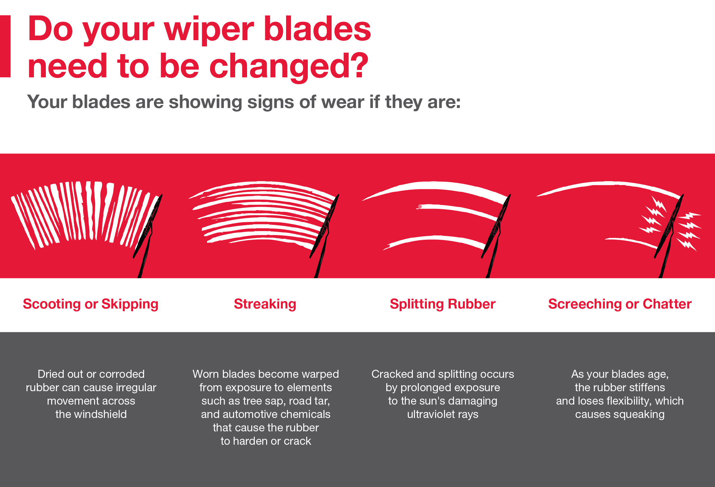 Do your wiper blades need to be changed | Seeger Toyota of St. Robert in St Robert MO